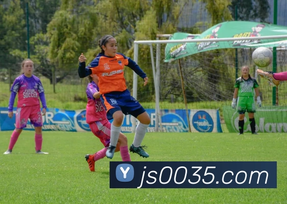 战术分析频道